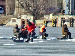 Южный ветер «надует» 14 градусов тепла завтра, 12 марта, в Камышине