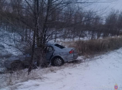 Водитель иномарки врезался в дерево и попал на операционный стол