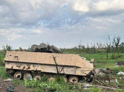 Новости СВО на утро 11 июля: Зеленский срочно захотел мира, окружение ВСУ в ДНР и удары по авиабазам Украины, - «Блокнот - Россия»
