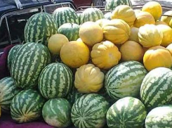 Сторожа поругались на бахчах, и один из них стал палить из ружья