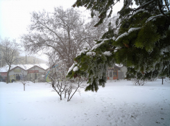 Шесть градусов мороза и легкий снег - перед новым похолоданием: погода в Камышине на 9 февраля