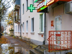 Жителям второго участка и этой осенью придется прыгать в аптеку через вечную лужу, как сайгакам? - камышанка