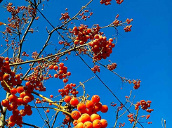 Внимание! На юг России заходит средиземноморский циклон