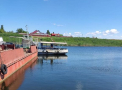В Камышинском районе полицейские изъяли улов и запрещенные сети у двух рыбаков 