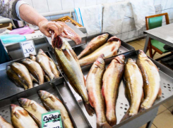 В Волгоградской области подешевели яйца и макароны, а подорожали сыр и рыба