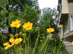 В Волгоградской области по-новому будут проводиться собрания собственников жилья 