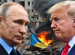 «Должна состояться в ближайшем будущем»: в Госдуме сообщили о сроках возможной встречи Путина и Трампа