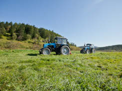 В Камышине сельскохозяйственники станут плательщиками НДС