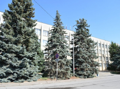 В Камышине слуги народа надели маски и перчатки и решали, как выживать народу 