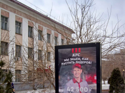 Камышин взбудоражила зарплата, которую предлагает входящая в город «бутербродная» компания