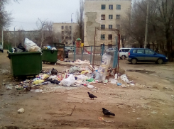 В Камышине весенний городской пейзаж уродуют кучи мусора