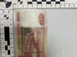 Двое жителей Камышина подозреваются в сбыте поддельной 5-тысячной купюры
