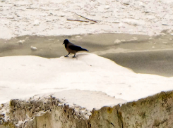 В Камышин на двое суток заходит туманно-снежно-дождевой фронт 