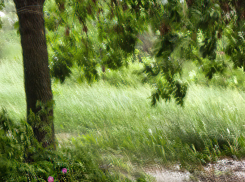 Предштормовое предупреждение объявили в Волгоградской области