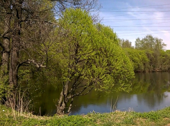 Следователи устанавливают причину смерти найденного у водоема маленького мальчика