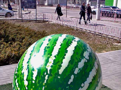 В Камышине вся неделя будет теплой почти по-летнему