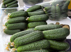 Свежие огурцы на рынках Камышина упали в цене до 100 рублей за килограмм: можно и «замолосолить»!