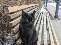 Яркое солнце пообещали синоптики камышанам 23 марта - перед дождем