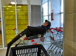 Почему охрана «Магнита» позволяет этим «артистам» «валяться» на тележках? - камышанин
