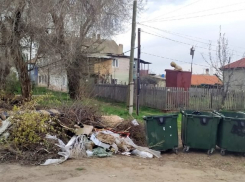 Администрация Камышина пригрозила горожанам большими штрафами за «неправильный» мусор у контейнеров