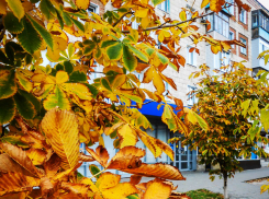 Камышанин Руслан Дан погиб на линии боевого соприкосновения