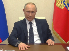 Путин поручил Минобороны России обеспечить поддержание мира в ЛНР и ДНР