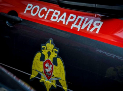 В Камышине росгвардейцы задержали мужчину, находившегося в розыске по подозрению в сбыте наркотиков