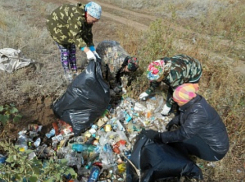 Свалку из заповедной зоны сделали жители Камышинского района 