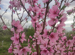 Вероятный дождь и геомагнитный шторм предсказали синоптики камышанам сегодня, 22 апреля