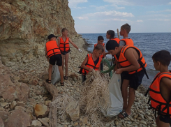 В Камышинском районе эковолонтеры зачистили берег Волги за «беспомощными» рыбаками и туристами