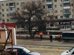 В Камышине коммунальщики поменяли искореженные ограждения на Сиреневом бульваре