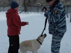 Восьмилетний мальчик пропал в Камышине по дороге в школу 