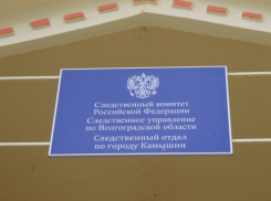 В Камышине устанавливают личность обглоданной собаками женщины