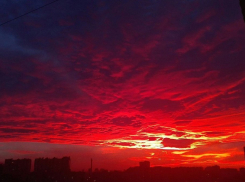 В подъезде многоэтажного дома в Камышине нашли труп мужчины с разбитой головой