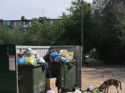 Администрация Камышина проиграла в апелляционной инстанции иск о мусорной стоянке, опасно «прилепленной» к высотке