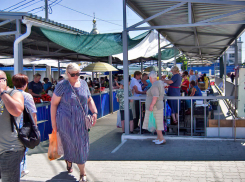 «Четвертый пошел!»: на «штурм» мандата от камышан в Облдуму отправляется еще один соискатель