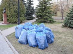 Чиновники администрации Камышина показали, сколько мусора они собрали собственноручно у мэрии