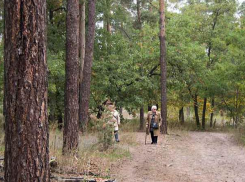 В Волгоградской области начала действовать самоизоляция для невакцинированных жителей старше 65 лет 