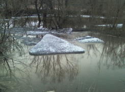 В Камышинском районе река Иловля начала освобождаться ото льда