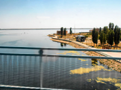 В Камышине ржавым цветом полугнилых водорослей зацвела река
