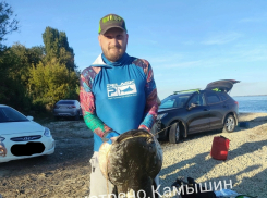 Камышане показали в соцсетях удальца, выловившего в местном овраге «Беленький» гигантского сома