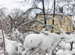 Где в Камышине будут отключать свет, холодную и горячую воду завтра, 15 января