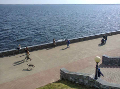 Администрация Волгоградской области ищет предпринимателей, которые будут по ее заказу возить водным маршрутом пассажиров из Камышина в Николаевск