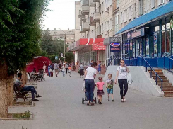 «Мы не хотим страдать от власть имущих, которые - как пена»: о чем камышане написали президенту России