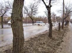 В Камышине полиция ищет очевидцев наезда на 16-летнюю школьницу в районе «кольца» бывшего ХБК