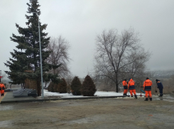 В Камышине «Благоустройство» взялось за уборку мемориала воинам-интернационалистам