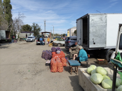 Статистики нашли много подешевевших продуктов по итогам сентября