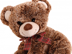 В администрации Камышинского муниципального района озвучили, сколько получают заведующие сельских детсадов