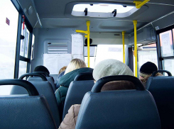 Дорожные полицейские Камышина детально проконтролируют качество перевозок пассажиров