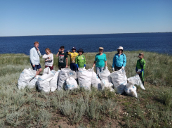 Волонтеры мешками собирают мусор по берегам Волги за туристами и рыбаками